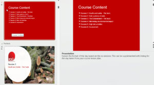 rolo ppt 2